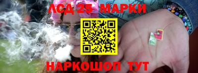 Альфа ПВП Донецк