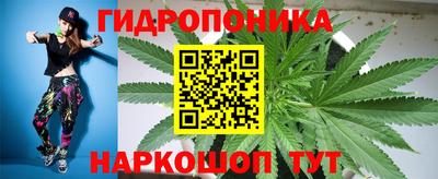 гашик Заволжье