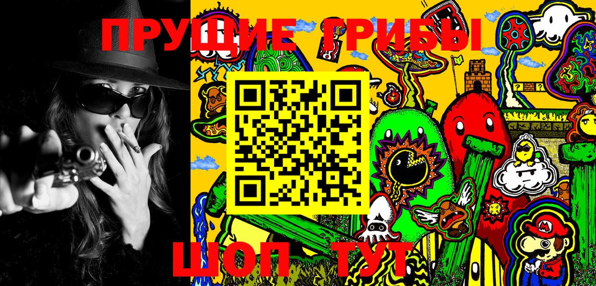 Галлюциногенные грибы Psilocybe Миллерово